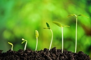 How to Focus on Spiritual Growth for True Life Change - image shows different stages of plant growth
